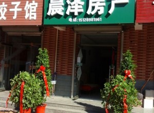 燕赵熙府   三居  精装  全新家具家电