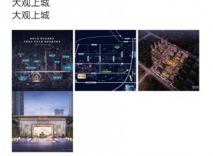 大观上城